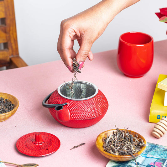 Sichuan Japanese Tea Pot Kettle with Infuser - 250ml