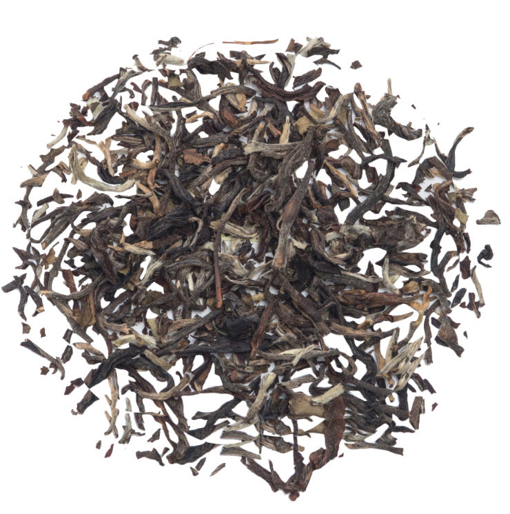 Glenburn Darjeeling Autumn Crescendo Tea Tin (2025 Harvest)