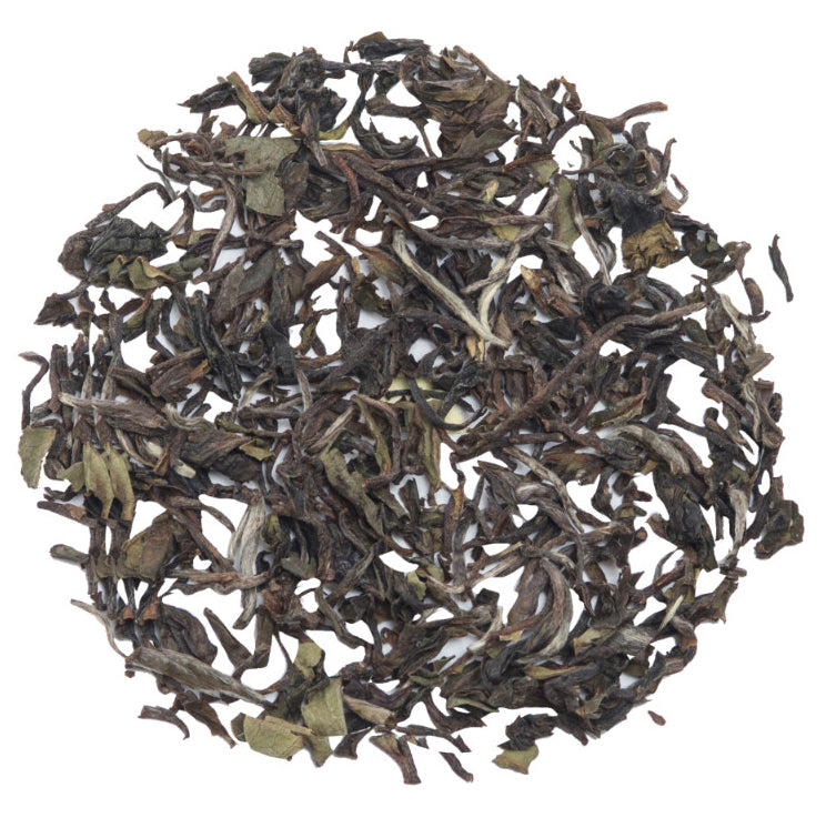 Glenburn Darjeeling First Flush Tea Tin (2025 Harvest)