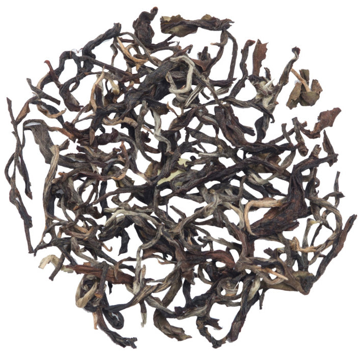 Glenburn Darjeeling Autumn Oolong Tea Tin (2025 Harvest)