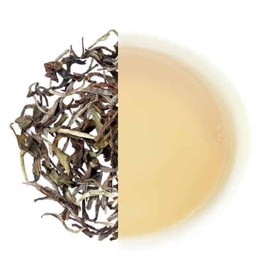 Glenburn Darjeeling White Peony Tea(2025 harvest)