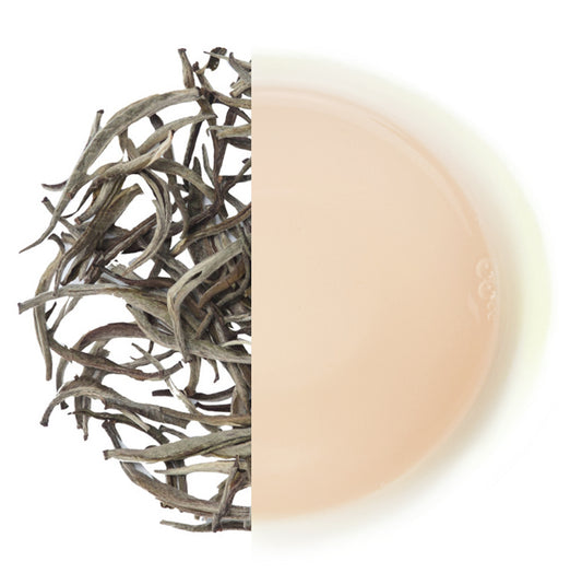 Glenburn Darjeeling Silver Needle White Tea(2025 Harvest)