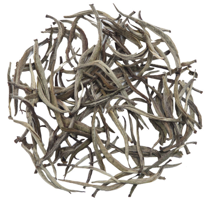 Glenburn Darjeeling Silver Needle White Tea Tin(2025 Harvest)