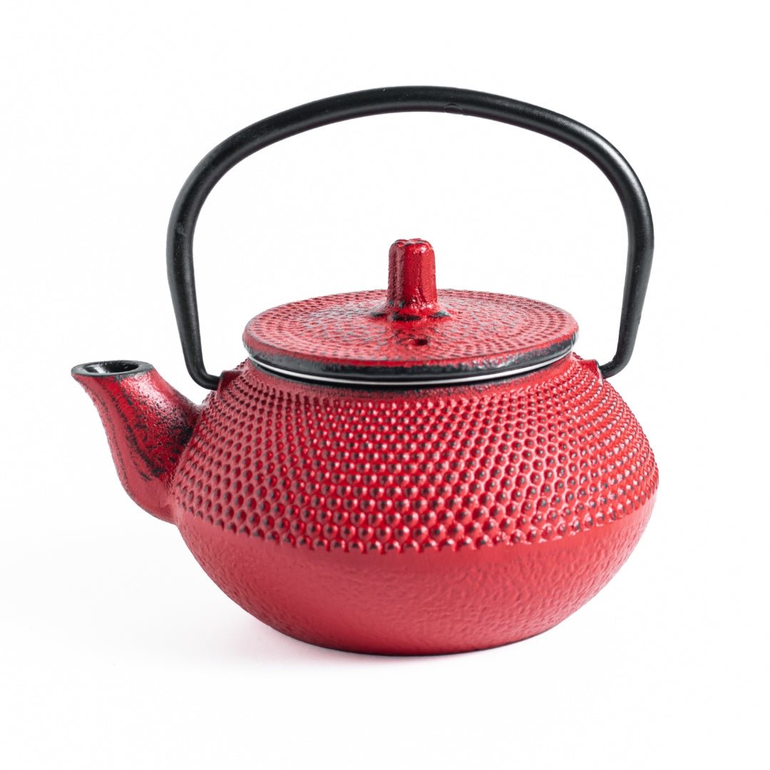 Sichuan Japanese Tea Pot Kettle with Infuser - 250ml – Glenburn Fine Tea